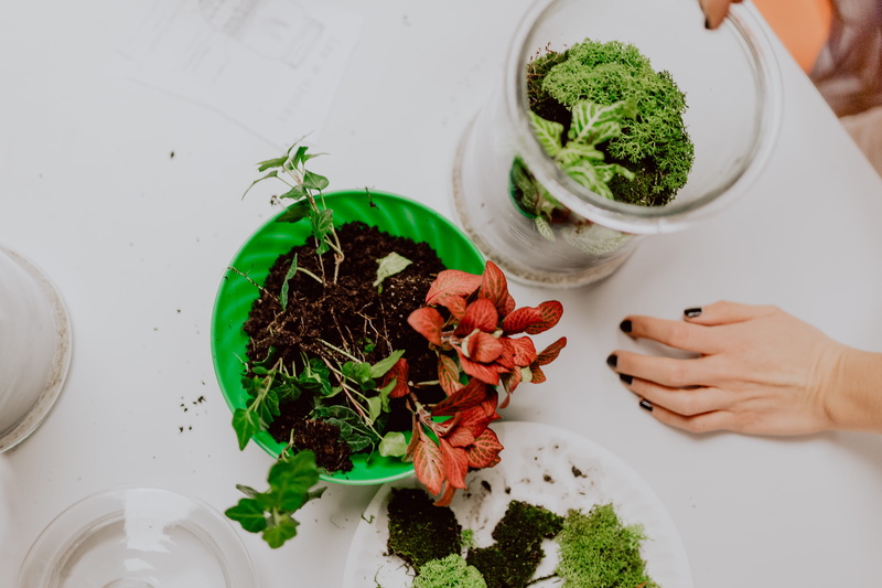 holding, food and drink, building, preparation, high angle view, freshness, leaf, bowl, adult, human hand, green, forest, greenhouse, terrarium, hobby