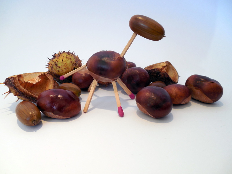 chestnut - food, chestnut, nature, acorns, freshness, handicrafts, nut, still life, matches, studio shot, food, wellbeing, autumn, tinker, tinkered, fruit
