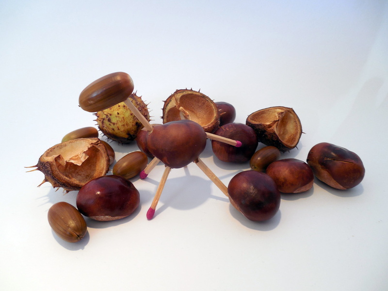 2K, large group of objects, no people, tinker, food, tinkered, group of objects, healthy eating, freshness, do it yourself, brown, chestnut - food, food and drink