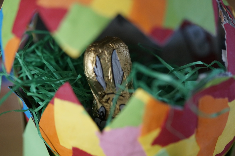 no people, chocolate easter bunny, children, 5K, animal wildlife, easter grass, flowering plant, osternestchen, plant, easter nest, paper mache, close-up