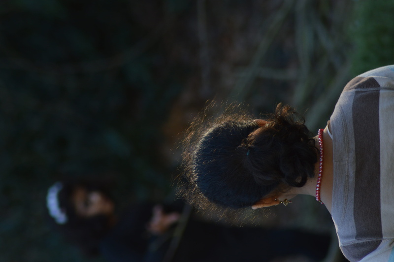 close-up, pet owner, domestic, plant, my girls, happy, vertebrate, focus on foreground, outdoors, mammal, be yourself, animal wildlife, vegetation, one person