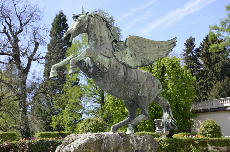 outdoors, 4K, pegasus, creativity, plant, daytime, art and craft, white, statue, solid, day, sky, salzburg, architecture, pegasus fountain, salzbuger country