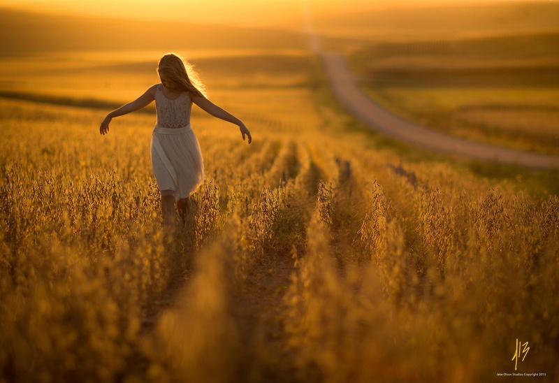 Jake Olson, little girl, idyllic, sunlight, fashion, one person, adult, land, 1080P, grass, sky, children, plant, dress, field, nature, hairstyle, beauty in nature