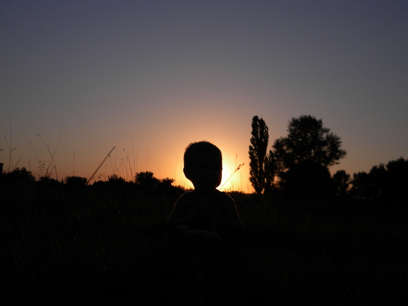 men, plant, eclipse, one person, photography, field, rear view, lifestyles, sky, clear sky, silhouette, outdoors, children, 2K, boys, sunset, beauty in nature