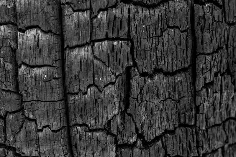 brown, no people, textured, natural pattern, old, rough, cracked, full frame, 5K, day, Coal, macro, material, charred tree, Crack, textured effect, nature