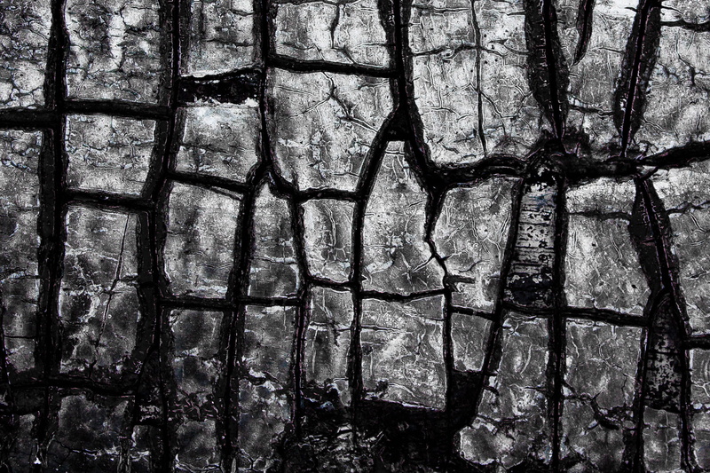 tree, charred, texture, day, built structure, plant, window, sunlight, boundary, wood, backgrounds, ash, outdoors, close-up, no people, 2K, wall - building feature