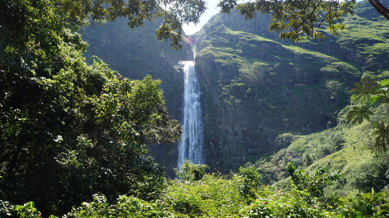beauty in nature, brazil, waterfall, 4K, lush foliage, environment, flowing, no people, growth, casca danta waterfall, tree, green color, forest, power in nature