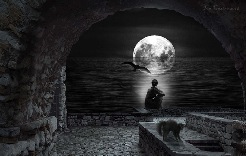 rear view, beach, cat, castle, mulher, built structure, bird, cave, architecture, real people, night, leisure activity, moon, one person, indoors, sea