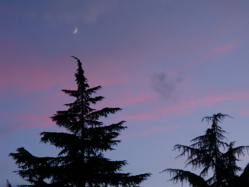 crescent, cloud - sky, tranquil scene, orange color, scenics - nature, idyllic, moon, growth, sky, sunset, beauty in nature, 1080P, lua, tarde, romantic sky