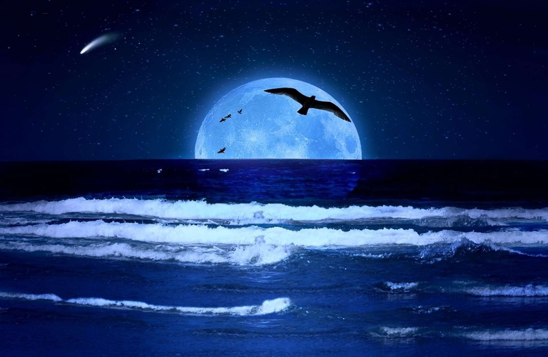 nature, aquatic sport, 1080P, mar, blue, beauty in nature, star - space, sky, lua, motion, sea, water, horizon over water, horizon, no people, birds, wave