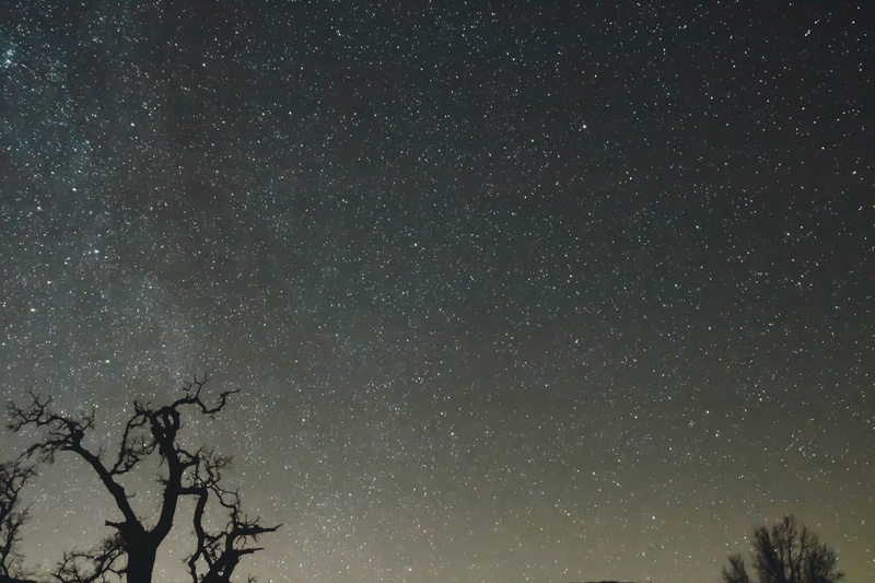 tree, estrella, star - space, beauty in nature, astronomy, star, tranquility, infinity, branch, starry, silhouette, science, 4K, celestial, plant, bare tree