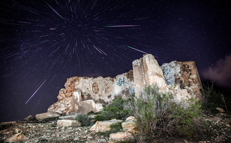 tree, rain, Leonidas, space and astronomy, nature, outdoors, estrellas, star field, strobist, astronomy, rock, beauty in nature, low angle view, star, tranquility