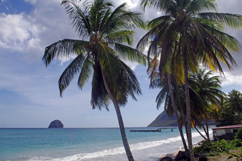 horizon over water, tropical climate, tranquil scene, diamond, rock, nature, 4K, beauty in nature, horizon, no people, tropical tree, tree, palm leaf