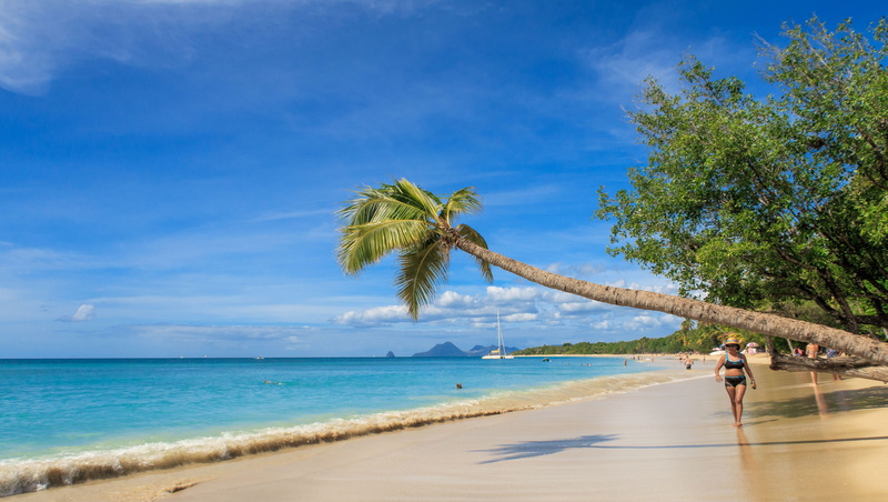 Beach, horizon over water, sea, travel, outdoors, sky, heat, scenics - nature, land, panorama, sun, Martinique, horizon, beach, 5K, Caribbean, cloud - sky
