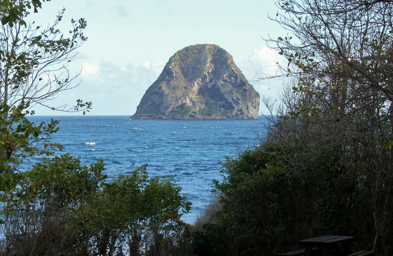 nature, outdoors, stack rock, beauty in nature, diamond, 4K, no people, land, water, plant, ocean, rock of diamond, tranquility, martinique, mountain