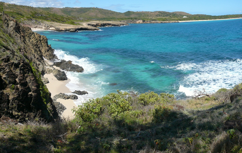 land, sea, tree, 2K, beauty in nature, non-urban scene, outdoors, rocky coastline, coastline, martinique, mountain, waves, beach, ocean, island, plant