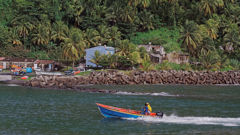 architecture, people, west indies, nature, travel, palm, plant, water, tree, mode of transportation, caribbean, outdoors, sea, real people, waterfront