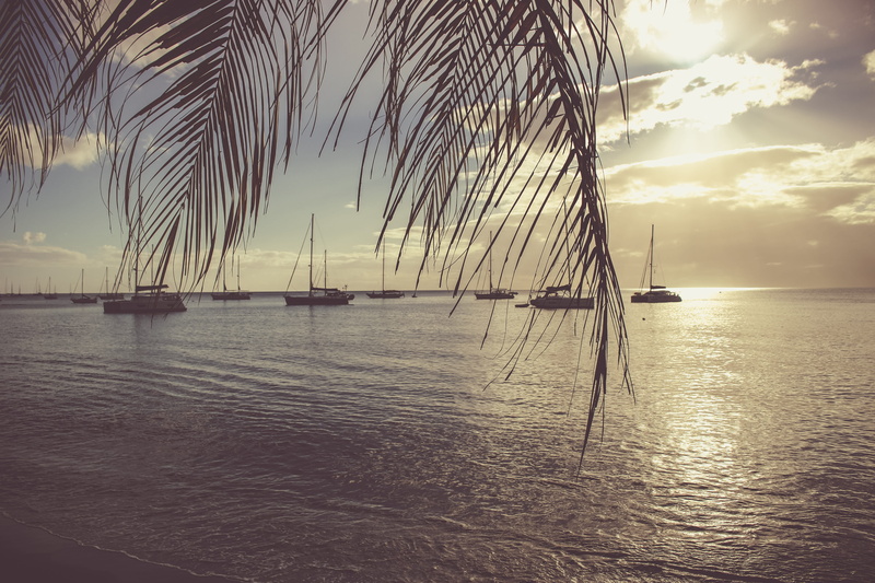 palm tree, summer, tranquility, 5K, sunset, vehicle, saint pierre, vessel, water, martinique, plant, tree, beauty in nature, outdoors, scenics - nature