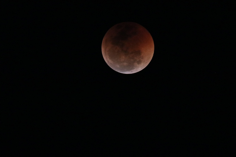 black Color, blood moon, background, lunar Eclipse, nature, star - Space, backgrounds, blue, planetary Moon, landscape, 5K, moonlight, sphere