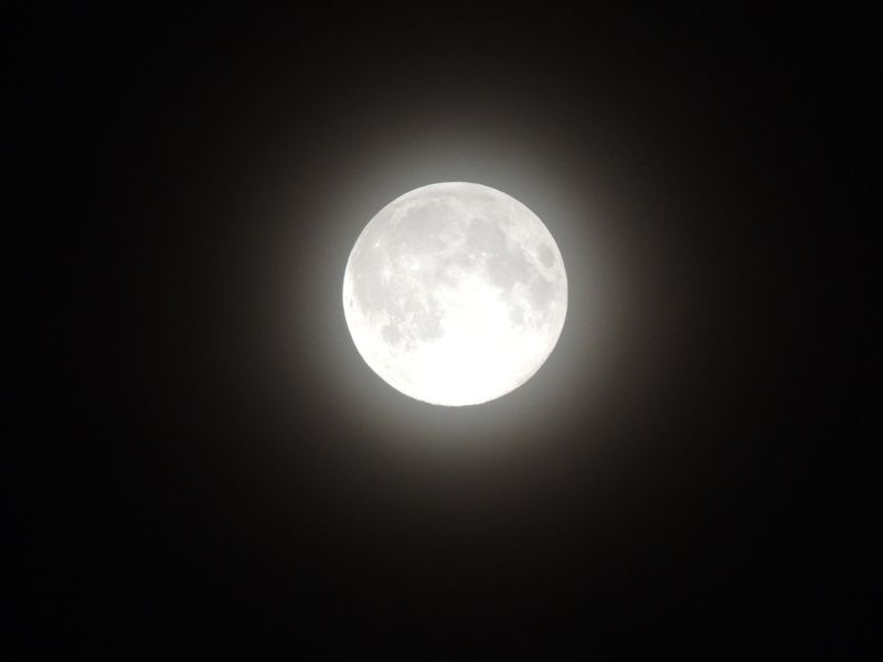 tranquility, shape, nature, moonlight, black background, space and astronomy, sky, scenics - nature, eclipse, night sky, full moon, big moon, no people