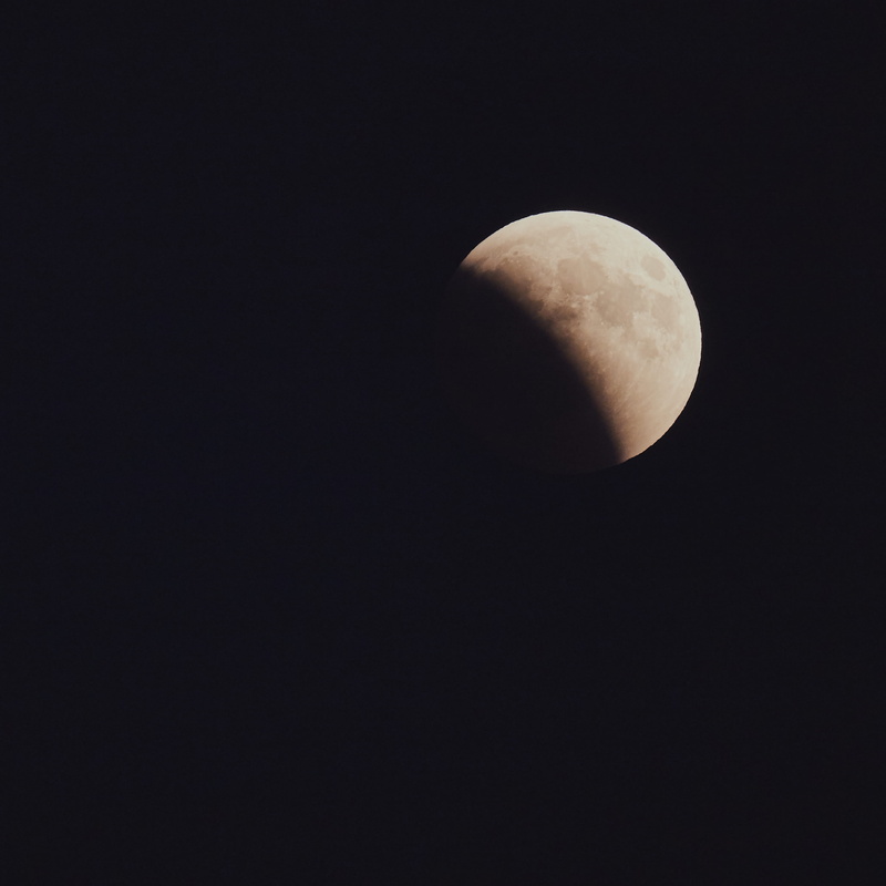 backgrounds, single Object, brown, 2K, close-up, half, nature, moon eclipse, moon, food, no People, sky, eclipse, dark, partial, night, black Background