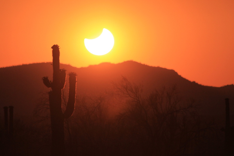 gene taylor photography, peoria, no people, genetaylor.me, non-urban scene, plant, orange color, 5K, scenics - nature, tranquility, partial solar eclipse