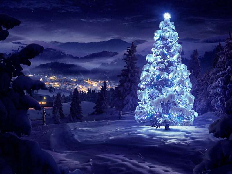 720P, arbol, navidad, noche