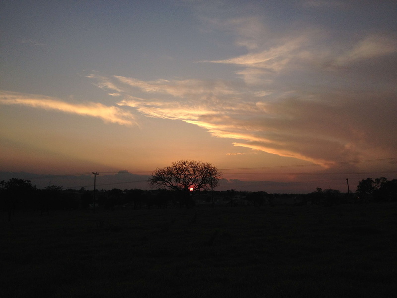 field, idyllic, sky, tree, scenics - nature, orange color, silhouette, sol noite, tranquility, nature, cloud - sky, outdoors, beauty in nature, no people