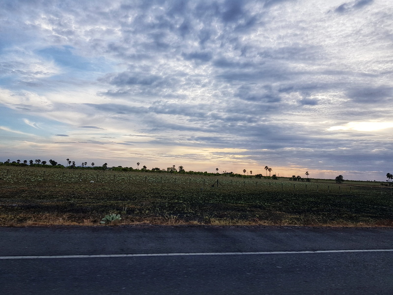 grass, basketball, céu, airfield, nuvem, tarmac, cloud - sky, landscape, tennis court, environment, mammal, transportation, animal, 4K, sports, sky, hockey