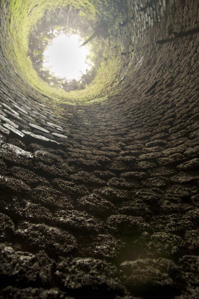 sunlight, day, paranapiacaba, surface level, plant, light at the end of the tunnel, tijolo, 2K, trunk, tranquil scene, tranquility, dirt, viage, font font chaminé font font