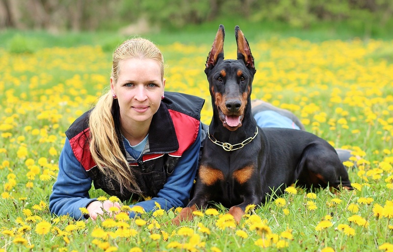 smiling, growth, friendship, nature, one person, sport, excursion, dog, animal, yellow, dogs, friend, in conjunction with the, hair, field, doberman, woman
