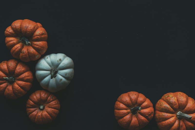 black background, harvest, freshness, blue, high angle view, copyspace, copy space, indoors, pumpkins, directly above, orange, halloween, food, farming
