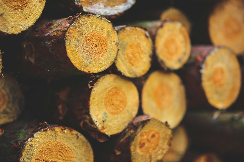 health, healthy, close-up, stack, 4K, food, round out, color, no people, cut, wood, large group of objects, fall, log, fruit, energy, wooden, backgrounds