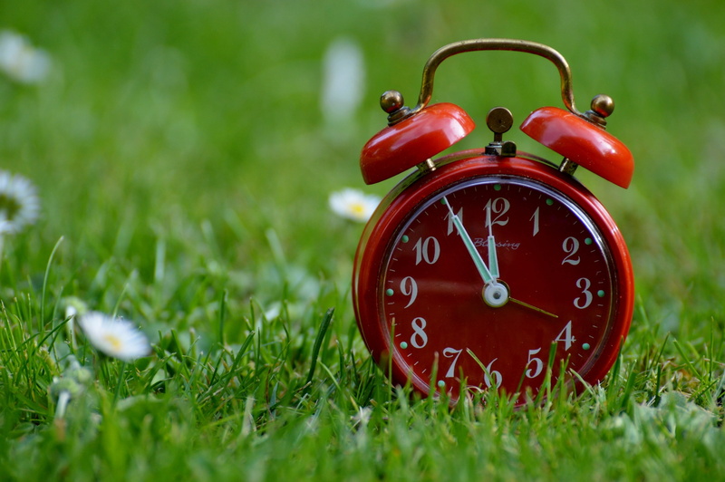 photo, field, ringing, time, bell, red, close-up, clock, alarm clock, outdoors, time of, green color, green, no people, hours, number, dial, plant, surface level