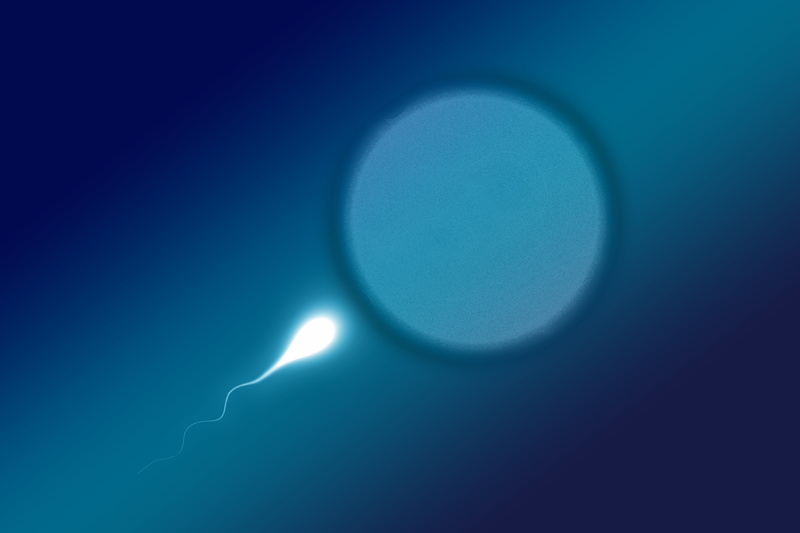 blue, copy space, champion, low angle view, power in nature, scenics - nature, competition, natural phenomenon, night, shape, cloud - sky, Sperm, solar eclipse