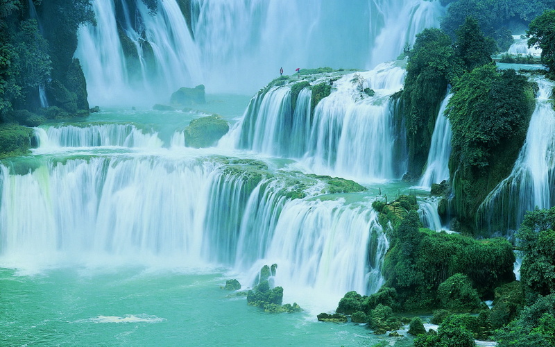 scenics - nature, idyllic, rainforest, nature, stream - flowing water, tree, landscape, green, waterfall, shrubs, travel destinations, travel, motion, environment