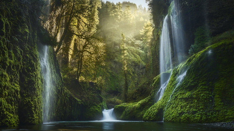 waterfall, moss, united states, eagle creek, columbia river gorge, body of water, oregon, columbia gorge, eagle creek canyon, columbia river gorge national scenic area