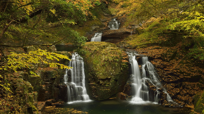 8K, relax, waterfall, chute, autumn, 8k, rock, woods, forest, deciduous, 8k uhd, calm