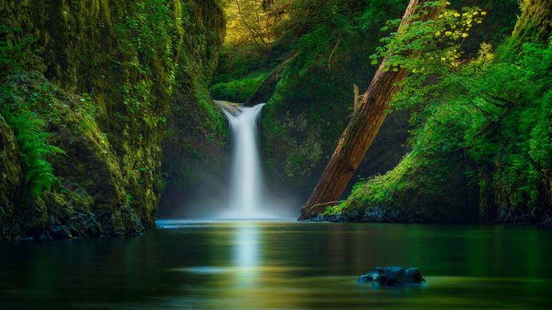 tranquility, tranquil scene, rock, usa, outdoors, land, non-urban scene, waterfront, stream, united states, blurred motion, stream - flowing water, tree