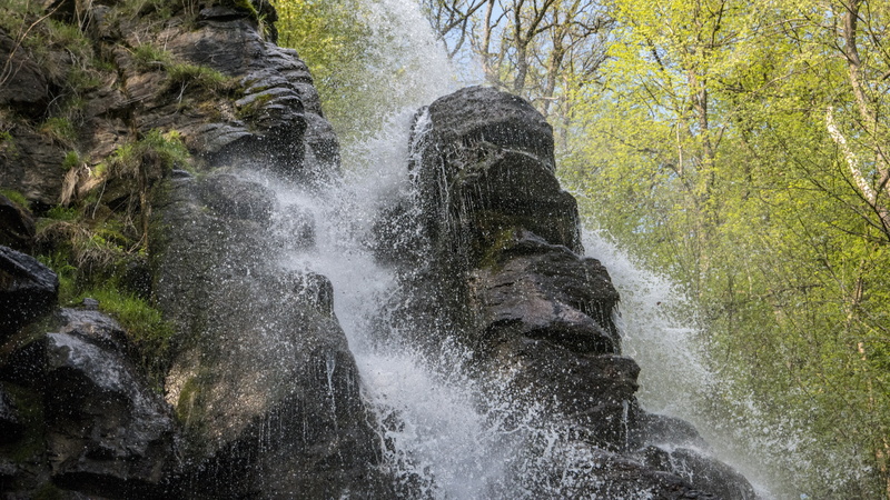 stream, 5K, water, 5k uhd, rock, forest, nature, waterfall, trusetaler waterfall, rapid, trusetal, germany, chute, 5k, tree, trusetaler wasserfall, europe
