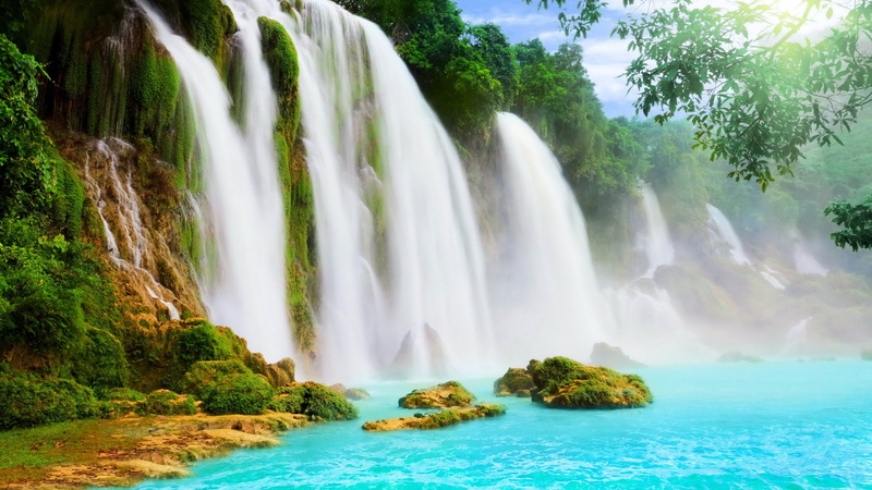 growth, scenics - nature, rainforest, no people, long exposure, flowing, travel destinations, plant, chute, tranquil scene, sea, flowing water, water, motion