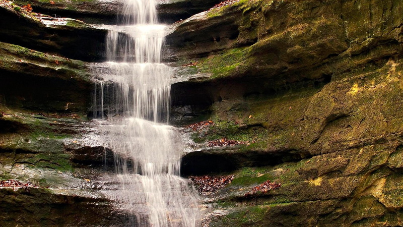 illinois, stream, tree, flowing water, beauty in nature, rock, forest, environment, state park, outdoors, united states, water, chute, power in nature