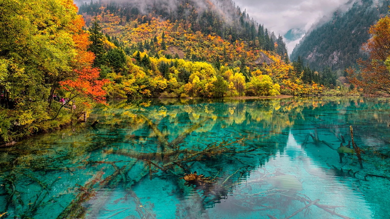  national, jiuzhaigou, park, lake, china, hd, crystal, 1080P