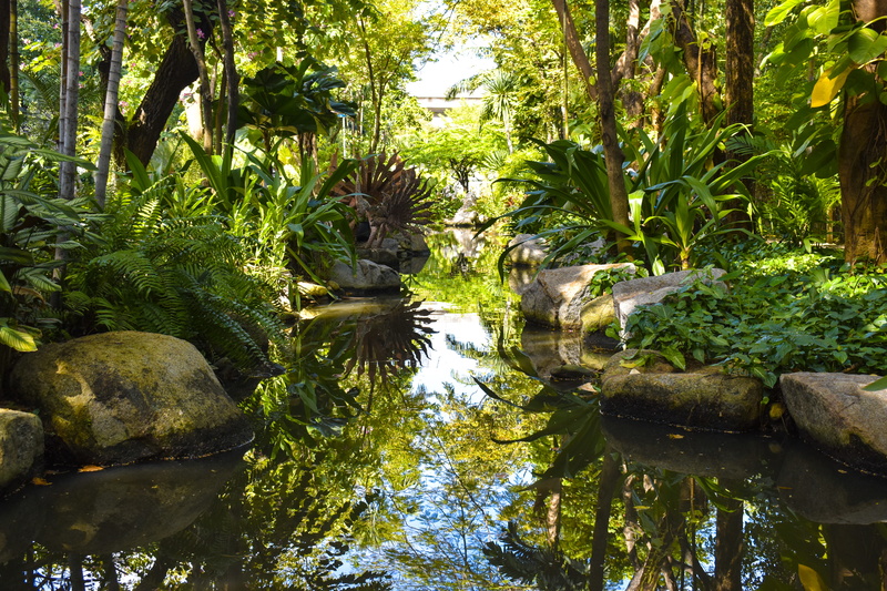 trees, bangkok, waterfront, no people, outdoors, growth, museum, park - man made space, jungle, landscape, lake, tranquil scene, pond, beauty in nature