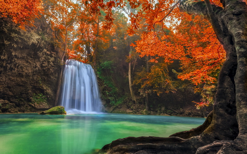 plant, 1080P, day, nature, no people, scenics - nature, tranquility, motion, jungle, Erawan Waterfall, forest, orange, non-urban scene, rainforest, autumn