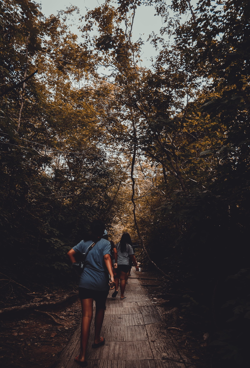 tree, thailand, full length, leisure activity, trees, near, two people, lifestyles, real people, forest, adult, rear view, woodland, kanchanaburi, 4K