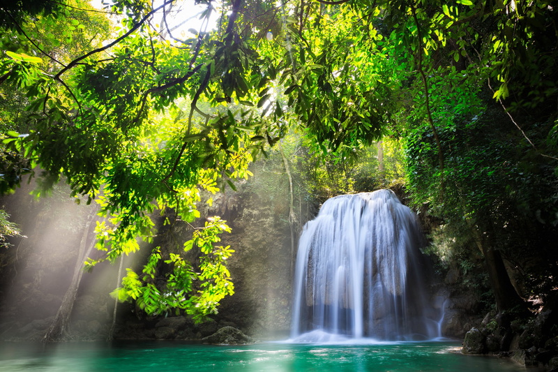 woodland, tranquil Scene, vacations, Kanchanaburi, Thailand, growth, summer, environment, the sun, rock - Object, 1080P, beautiful, tree, national Park