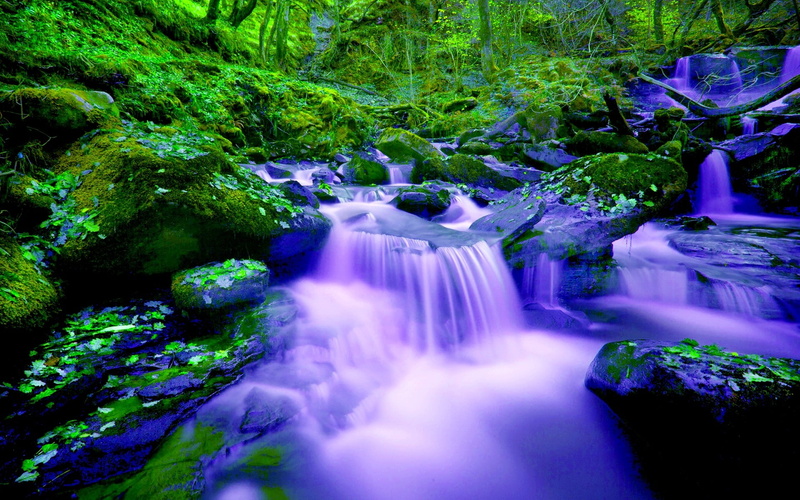 waterfall, hd, rocks, forest, phones, mobile, tablet, moss, fall, river, cascade, pc, 1080P, background, green