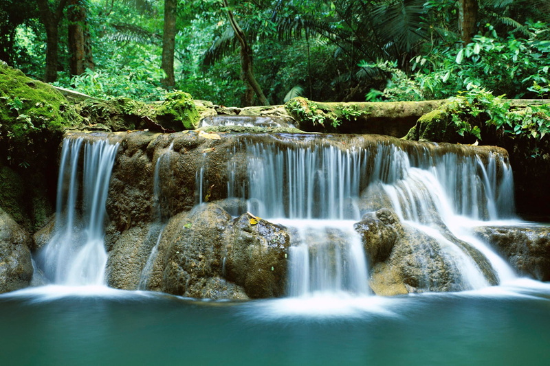 scenics - nature, growth, beauty in nature, environment, tree, falling water, rainforest, woodland, flowing water, long exposure, land, nature, motion