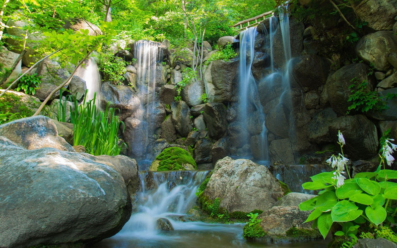 Waterfall Desktop, Waterfall Live Wallpape, Waterfall Hd, 1080P, Forest, nature, tree, waterfa, 2560x1600